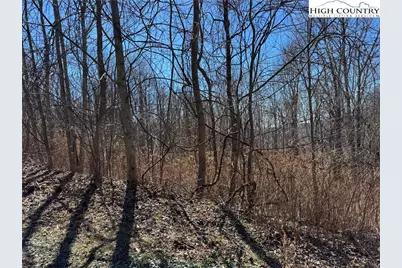 Tbd Tall Tree Lane #70, Banner Elk, NC 28604 - Photo 2