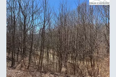 Tbd Lot # 70 Tall Tree Lane, Banner Elk, NC 28604 - Photo 6