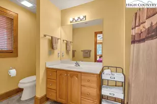 180 Indian Paintbrush Dr, Banner Elk, NC 28604 - Photo 18