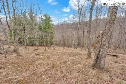 Lot #57 Snowcrest Lane, Boone, NC 28607 - Photo 12
