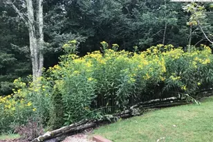 100 Spring Branch Rd, Beech Mountain, NC 28604 - Photo 42