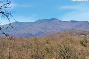 368 Spruce Pine Trail, Blowing Rock, NC 28605 - Photo 2