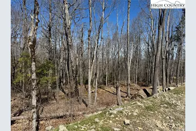 Es71 Twisted Oak Path, Banner Elk, NC 28604 - Photo 14