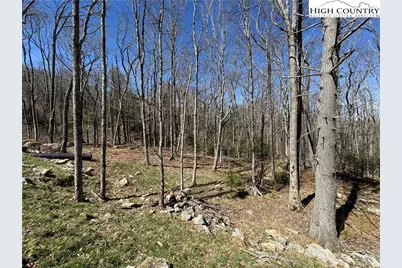 Es71 Twisted Oak Path, Banner Elk, NC 28604 - Photo 18