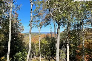 118 Overbrook Trail, Beech Mountain, NC 28604 - Photo 16