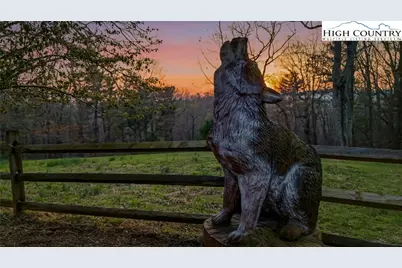 130 Hawkbill Road, Ferguson, NC 28624 - Photo 4