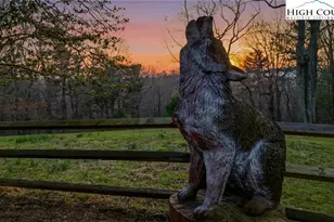 130 Hawkbill Rd, Ferguson, NC 28624 - Photo 4