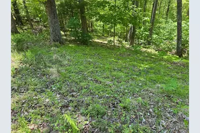 Tbd Happy Berry Drive #21, Grassy Creek, NC 28631 - Photo 8