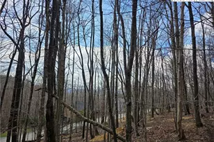 109 Hawthorne Rd, Beech Mountain, NC 28604 - Photo 1