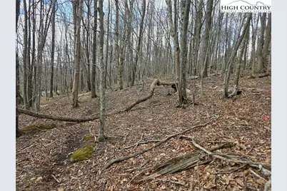 109 Hawthorne Road, Beech Mountain, NC 28604 - Photo 8