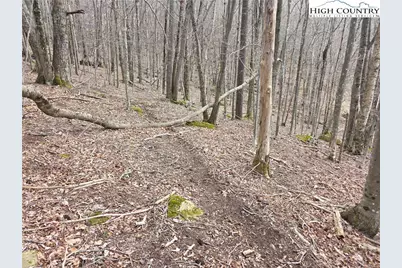 109 Hawthorne Road, Beech Mountain, NC 28604 - Photo 10