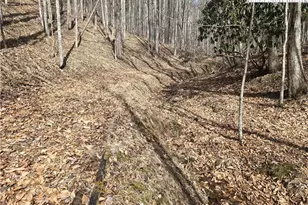 Tbd (Lots 42 & 43) Happy Ridge Rd, Piney Creek, NC 28663 - Photo 1