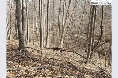 Tbd (Lots 42 & 43) Happy Ridge Road, Piney Creek, NC 28663 - Photo 8