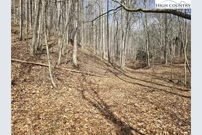 Tbd (Lots 42 & 43) Happy Ridge Road, Piney Creek, NC 28663 - Photo 4