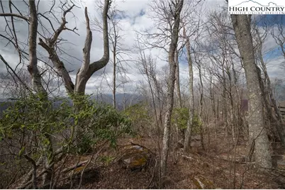 L-59 Eagle Cliff Trail, Banner Elk, NC 28604 - Photo 16