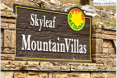 367 Skyleaf Drive #D-4, Sugar Mountain, NC 28604 - Photo 34