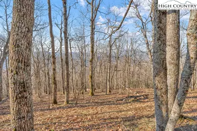 Lot E4 & E5 Firetower Road, Boone, NC 28607 - Photo 14