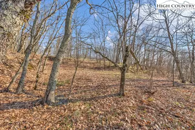 Lot E4 & E5 Firetower Road, Boone, NC 28607 - Photo 12