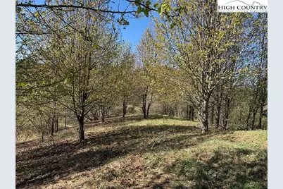 Tbd (Lot 21 & 22) Martha Lane, Piney Creek, NC 28663 - Photo 8