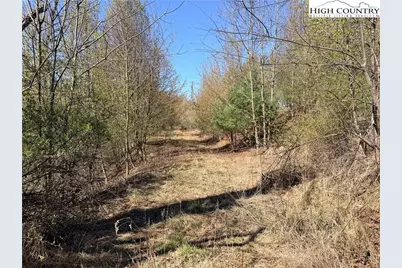 Tbd (Lot 21 & 22) Martha Lane, Piney Creek, NC 28663 - Photo 16