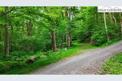 233 Woodland Springs Trail, Boone, NC 28607 - Photo 20