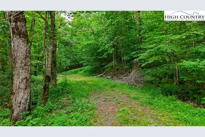 233 Woodland Springs Trail, Boone, NC 28607 - Photo 10