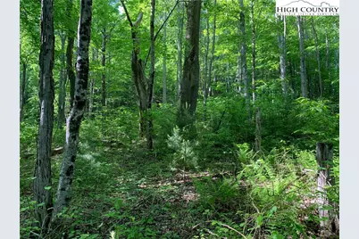 1476 John Alley Road, Lansing, NC 28643 - Photo 20