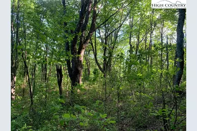 1476 John Alley Road, Lansing, NC 28643 - Photo 36