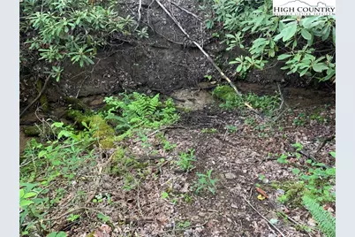 1476 John Alley Road, Lansing, NC 28643 - Photo 44