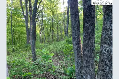 1476 John Alley Road, Lansing, NC 28643 - Photo 38