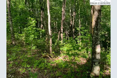 1476 John Alley Road, Lansing, NC 28643 - Photo 22