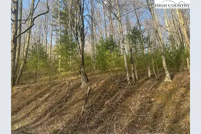 1476 John Alley Road, Lansing, NC 28643 - Photo 10