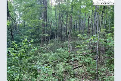 1476 John Alley Road, Lansing, NC 28643 - Photo 42