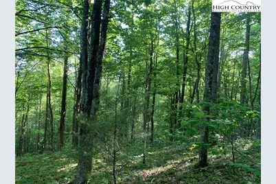 1476 John Alley Road, Lansing, NC 28643 - Photo 32