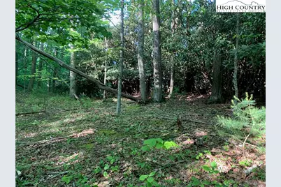 1476 John Alley Road, Lansing, NC 28643 - Photo 40