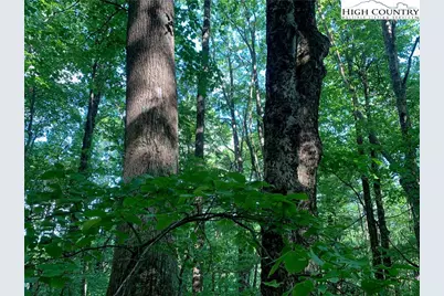 1476 John Alley Road, Lansing, NC 28643 - Photo 34