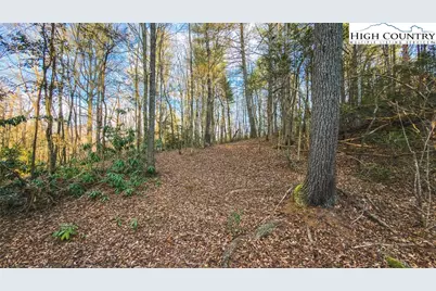 Tract 4 All Healing Springs Road, Taylorsville, NC 28681 - Photo 10