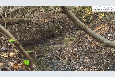 Tbd Lot 1 All Healing Springs Road, Taylorsville, NC 28681 - Photo 14