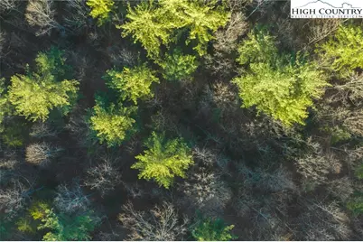 Tbd Lot 1 All Healing Springs Road, Taylorsville, NC 28681 - Photo 8