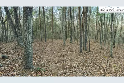 Tract 4 All Healing Springs Road, Taylorsville, NC 28681 - Photo 20