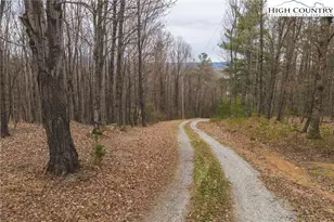 Tract 4 All Healing Springs Rd, Taylorsville, NC 28681 - Photo 1