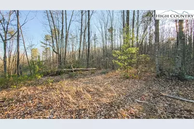 Tbd Lot 1 All Healing Springs Road, Taylorsville, NC 28681 - Photo 18