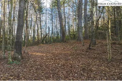 Tract 4 All Healing Springs Road, Taylorsville, NC 28681 - Photo 6