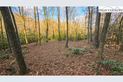Tbd Lot 2 All Healing Springs Road, Taylorsville, NC 28681 - Photo 14