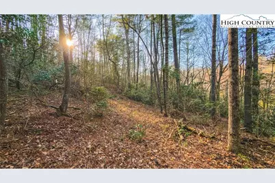 Tbd Lot 2 All Healing Springs Road, Taylorsville, NC 28681 - Photo 12
