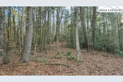 Tbd Lot 2 All Healing Springs Road, Taylorsville, NC 28681 - Photo 18