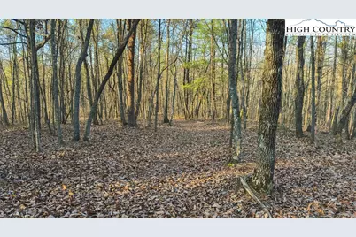 Tbd Lot 2 All Healing Springs Road, Taylorsville, NC 28681 - Photo 26
