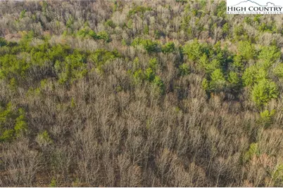 Tbd Lot 2 All Healing Springs Road, Taylorsville, NC 28681 - Photo 6