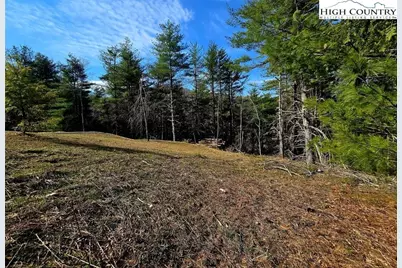 Tbd Foggy Ridge Drive, West Jefferson, NC 28694 - Photo 18