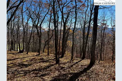 Lot 2 Chappell Farm Road, Banner Elk, NC 28604 - Photo 14